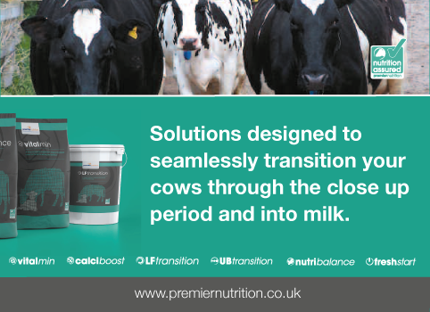 Solutions designed to seamlessly transition your cows through the close up period and into milk.