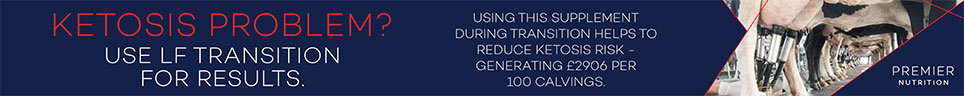 Solutions designed to seamlessly transition your cows through the close up period and into milk.